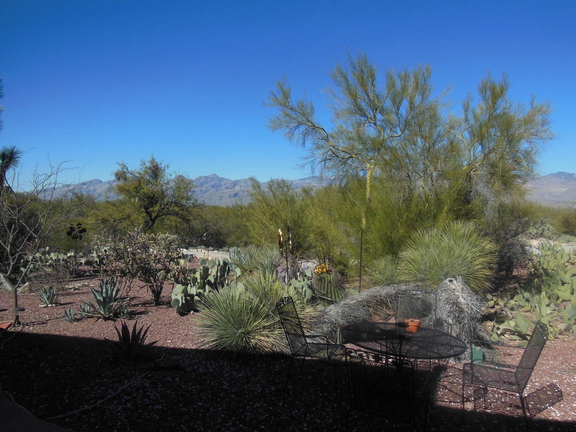 The Suncatcher Fine Country Inn Tanque Verde Exterior photo